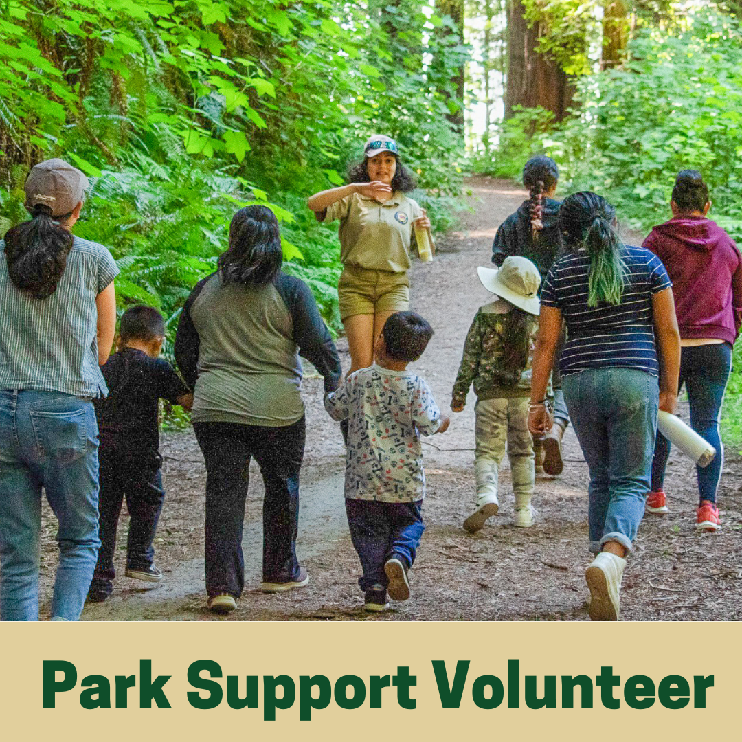 Park Support Volunteer